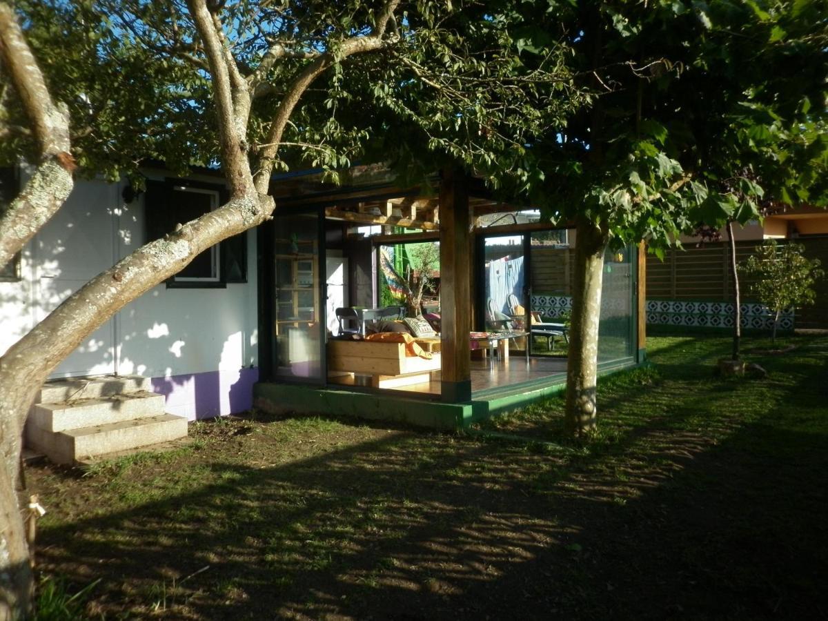 Cabana Rustica En Plena Naturaleza En Playa De Nerga, Ria De Vigo, Hio エクステリア 写真